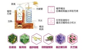 植淨驅蟲清潔噴霧500mL
