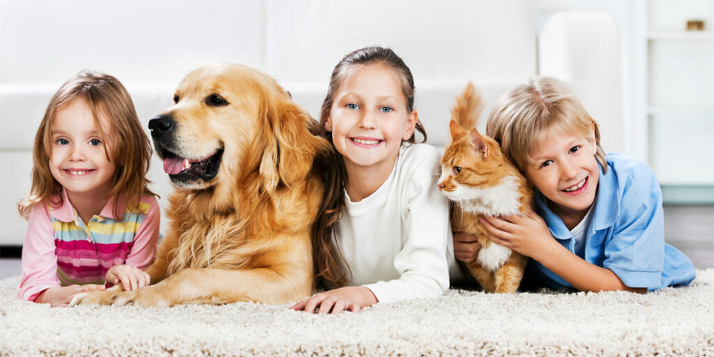 打造無憂寵物家庭的全效解決方案