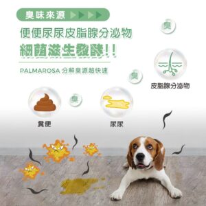 臭味來源