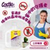 植淨防蟲地板清潔劑 1000ml 家庭必備防止蟲蟲入侵的好幫手 (環衛藥防蟲字112080901號 )：圖片 4