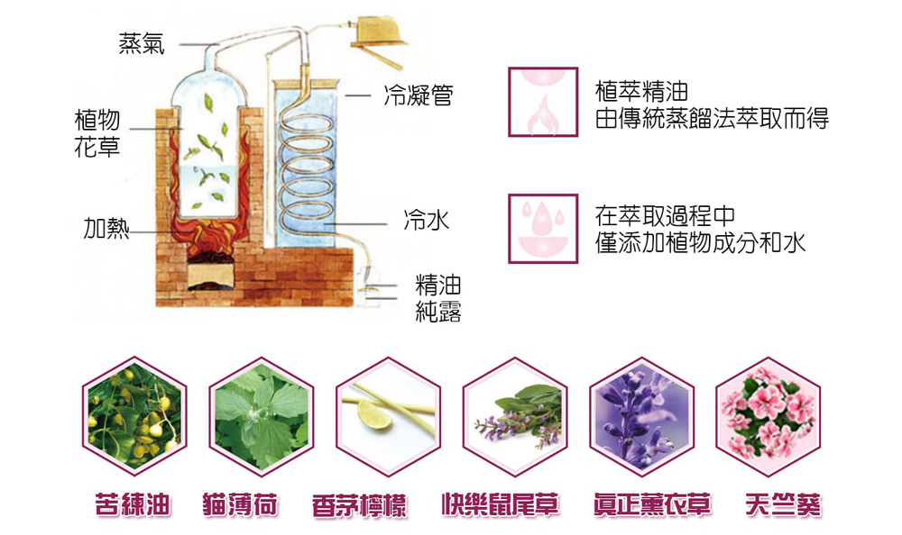 免沖洗乾爽配方